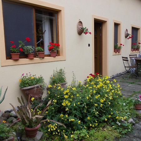 Casa Lia Sighişoara Exterior foto