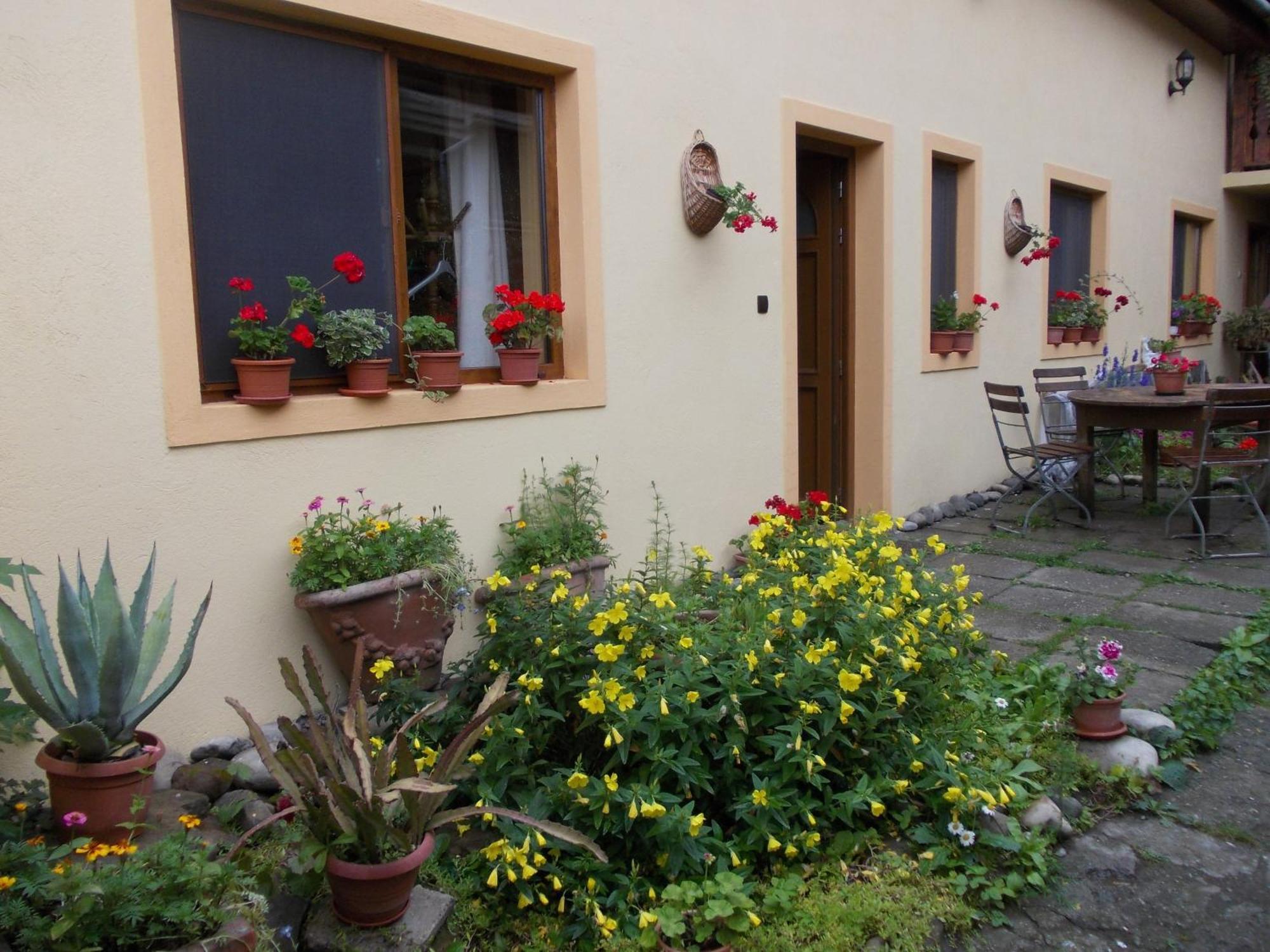 Casa Lia Sighişoara Exterior foto